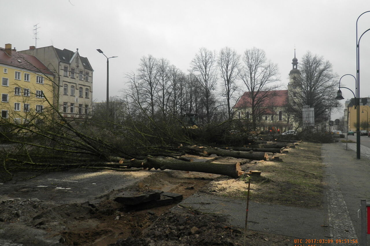 iHC_Webseite_Gewässerökologie_5.JPG